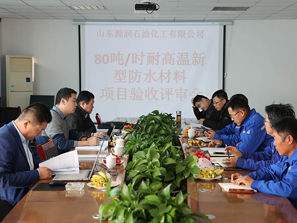 慶祝項目驗收評審會順利進行